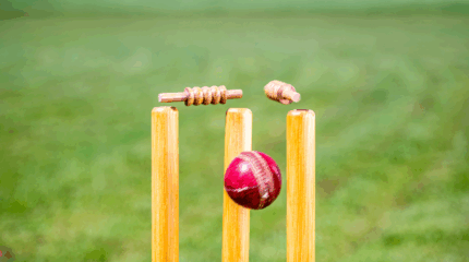 cricket