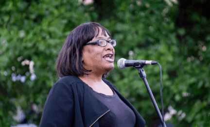 The suspension of Ms Diane Abbott