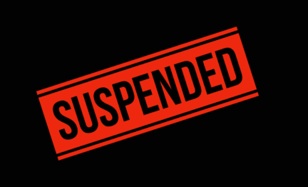 The suspension of Ms Diane Abbott